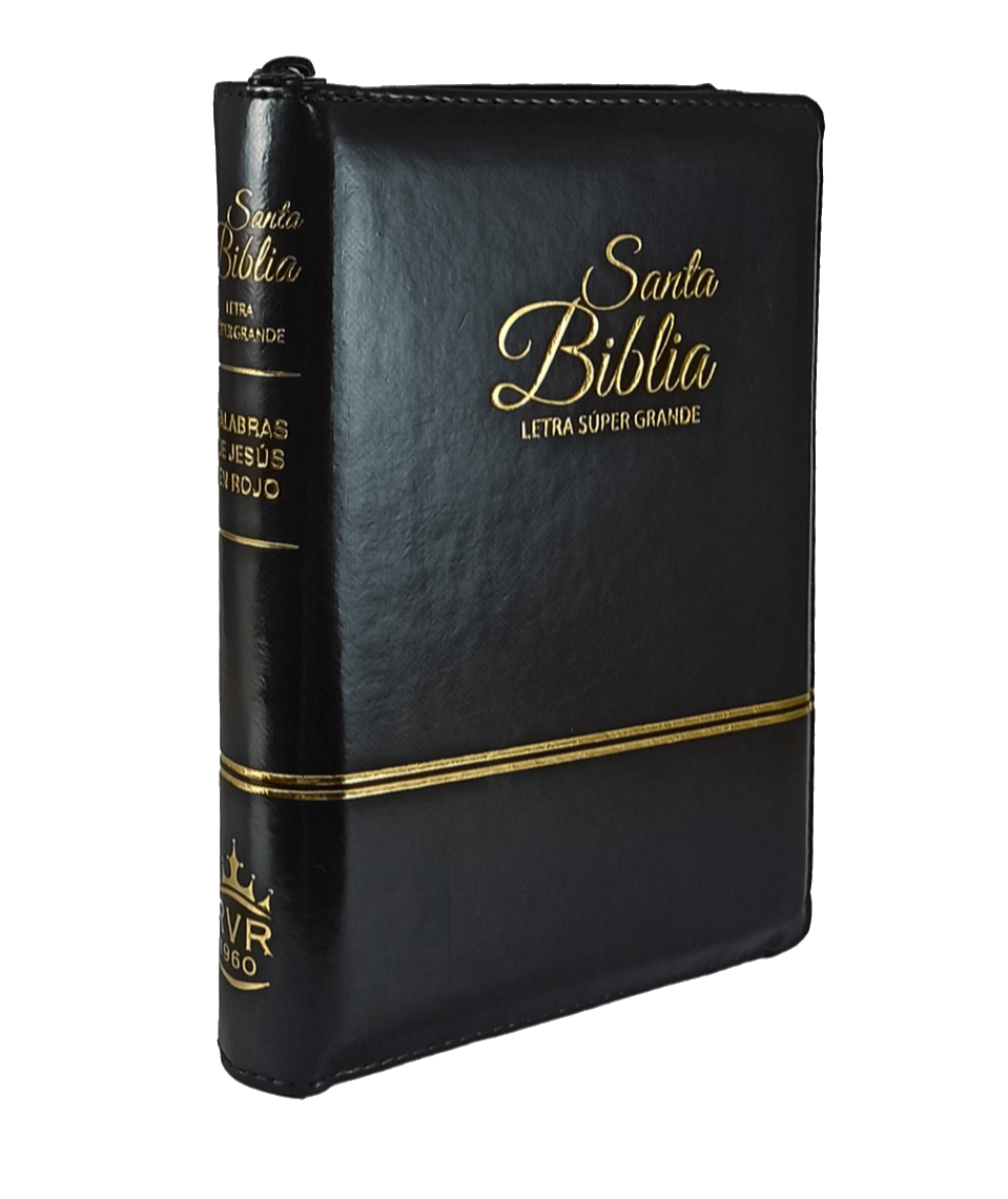 La Santa Biblia en español